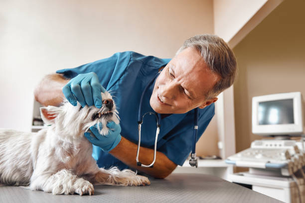 Best Emergency Dental Surgery in Westfield, NJ